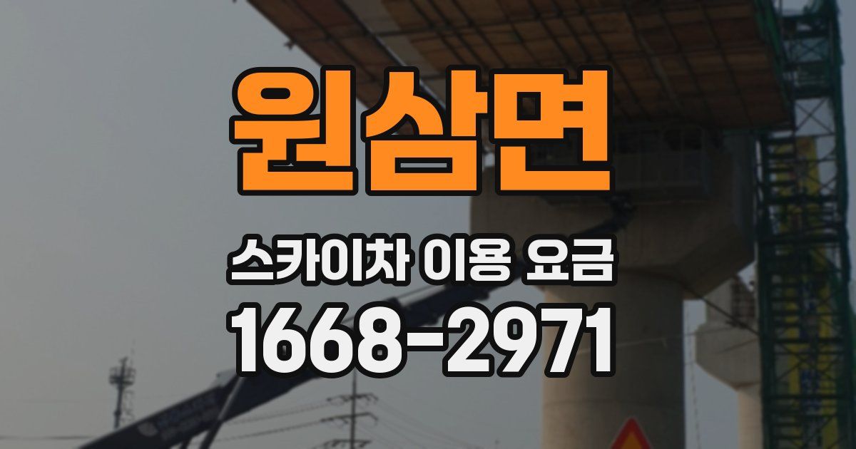 원삼면 스카이차 이용 요금
