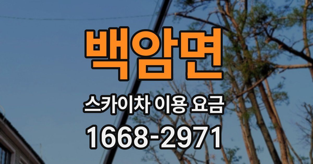 백암면 스카이차 이용 요금