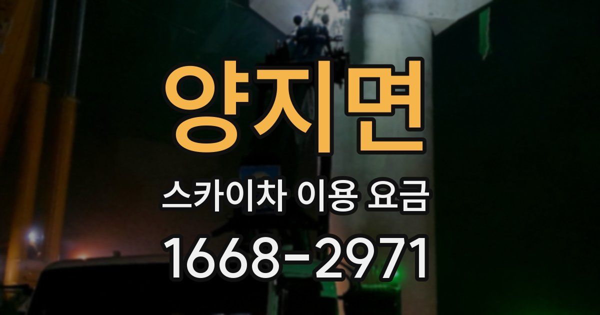 양지면 스카이차 이용 요금