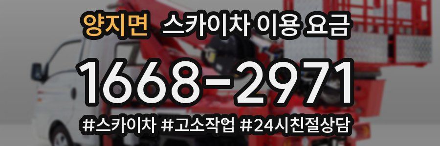 양지면 스카이차 이용 요금
