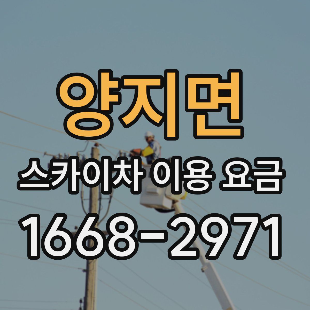 양지면 스카이차 이용 요금
