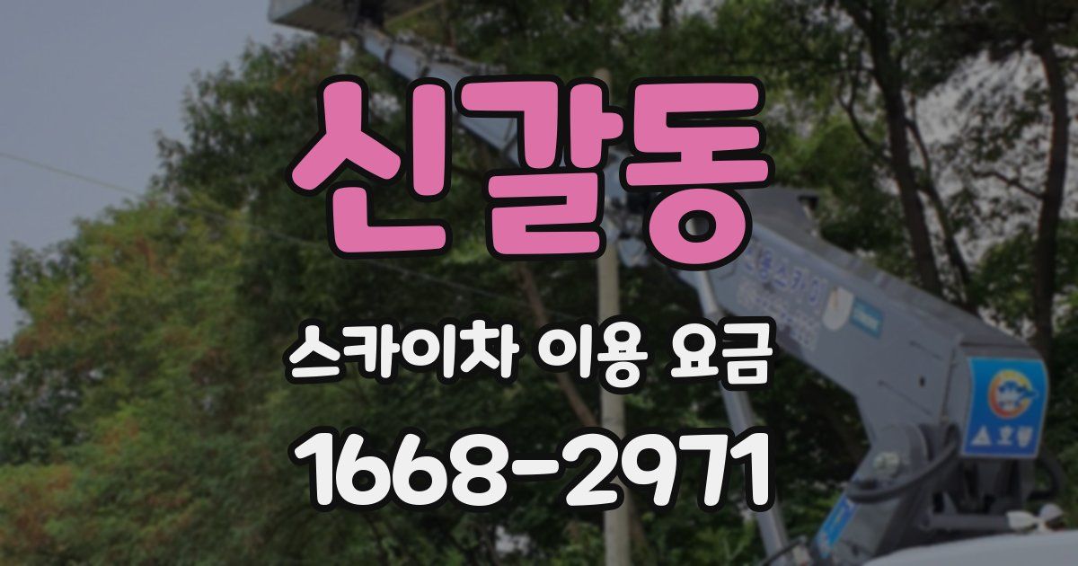 신갈동 스카이차 이용 요금