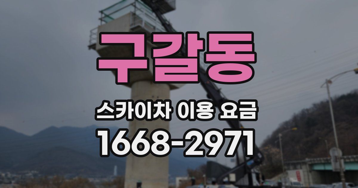 구갈동 스카이차 이용 요금