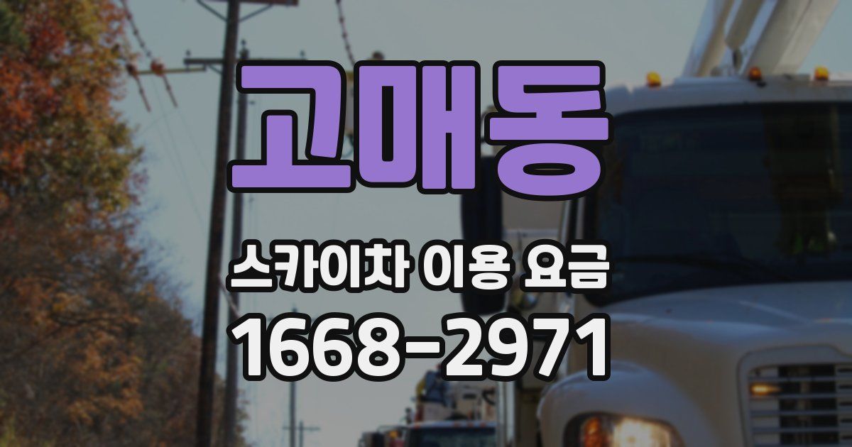 고매동 스카이차 이용 요금