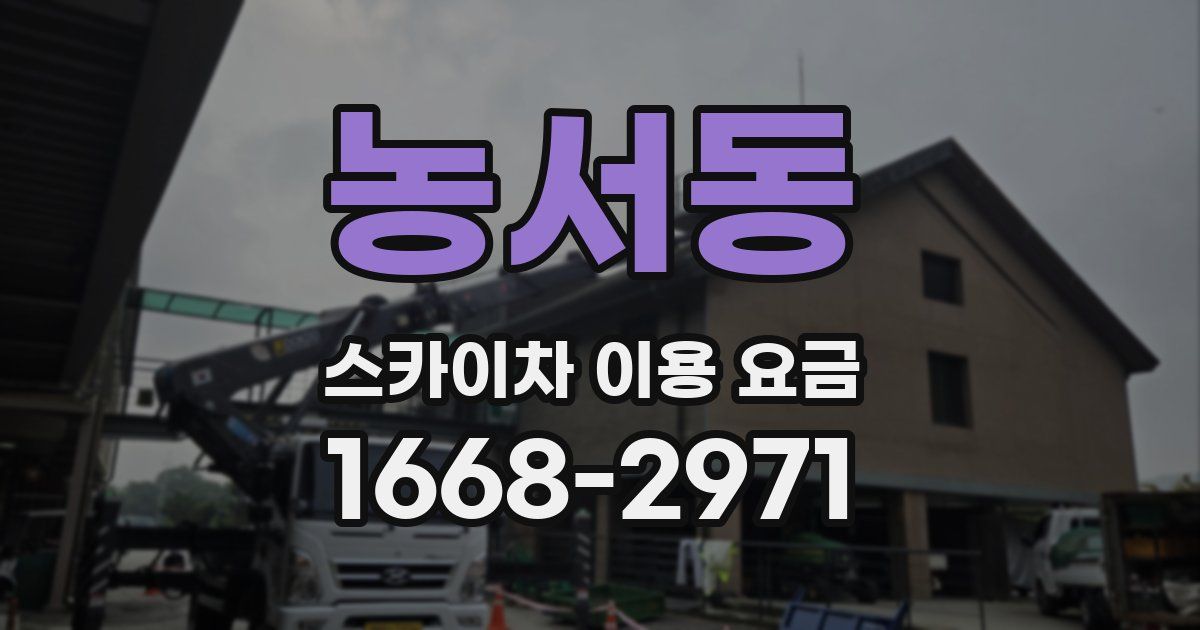 농서동 스카이차 이용 요금