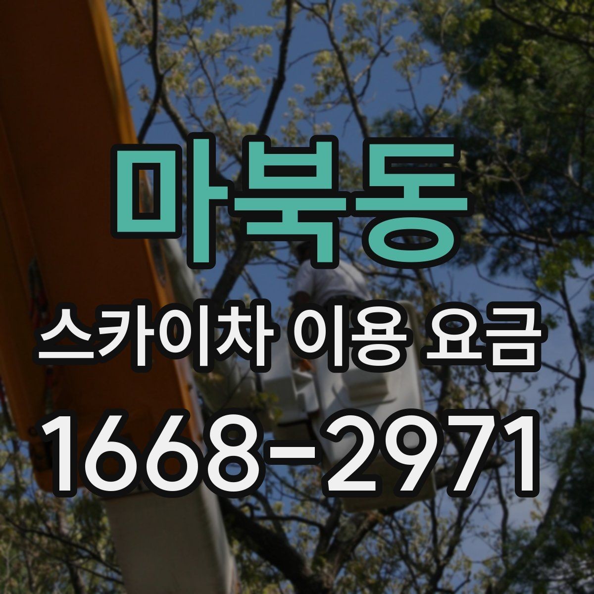 마북동 스카이차 이용 요금 책정 방식 쉽게 이해하기