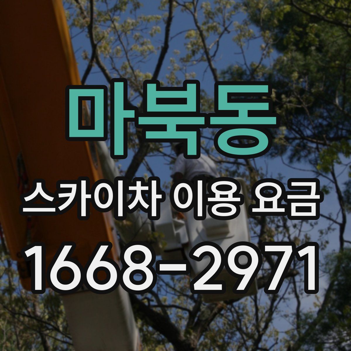 마북동 스카이차 이용 요금