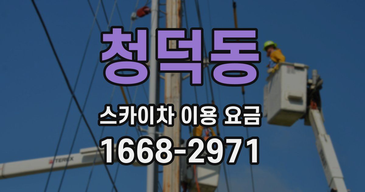 청덕동 스카이차 이용 요금