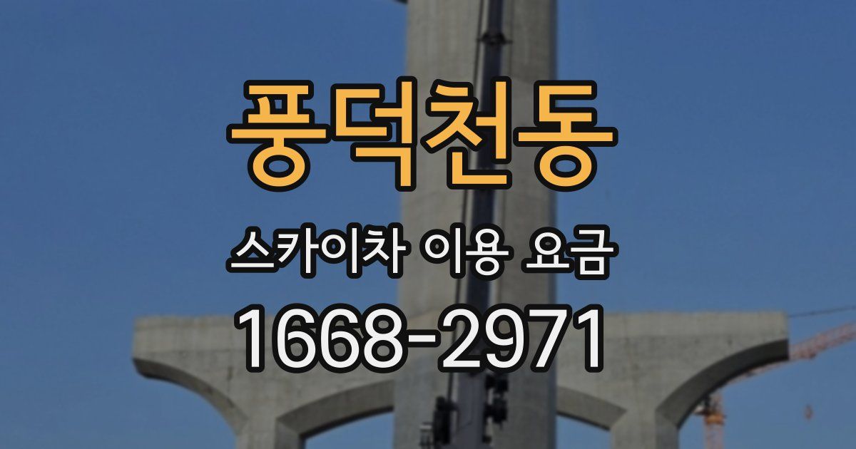 풍덕천동 스카이차 이용 요금