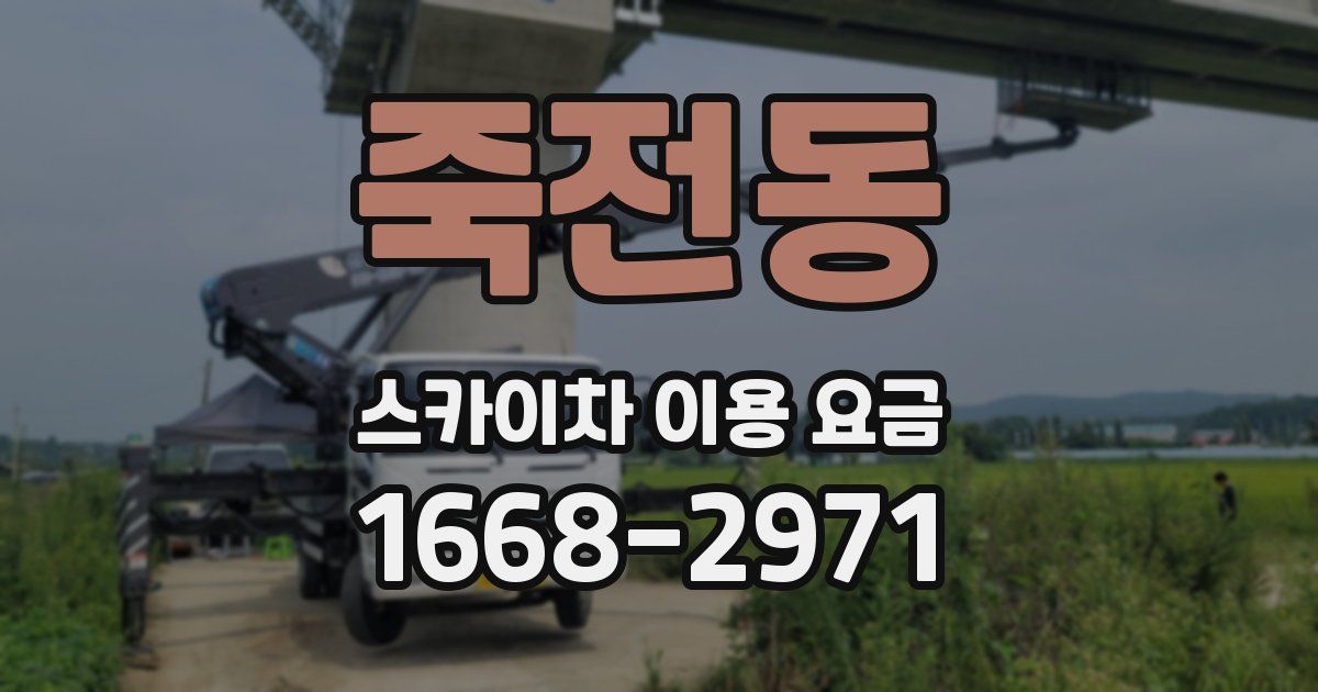 죽전동 스카이차 이용 요금