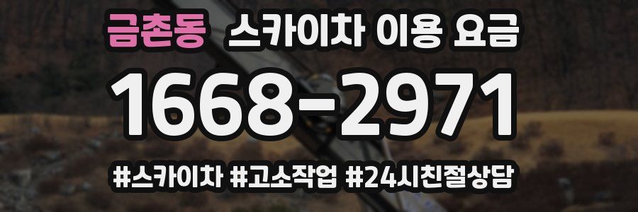 금촌동 스카이차 이용 요금