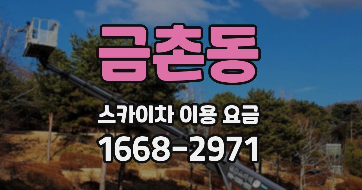 금촌동 스카이차 이용 요금