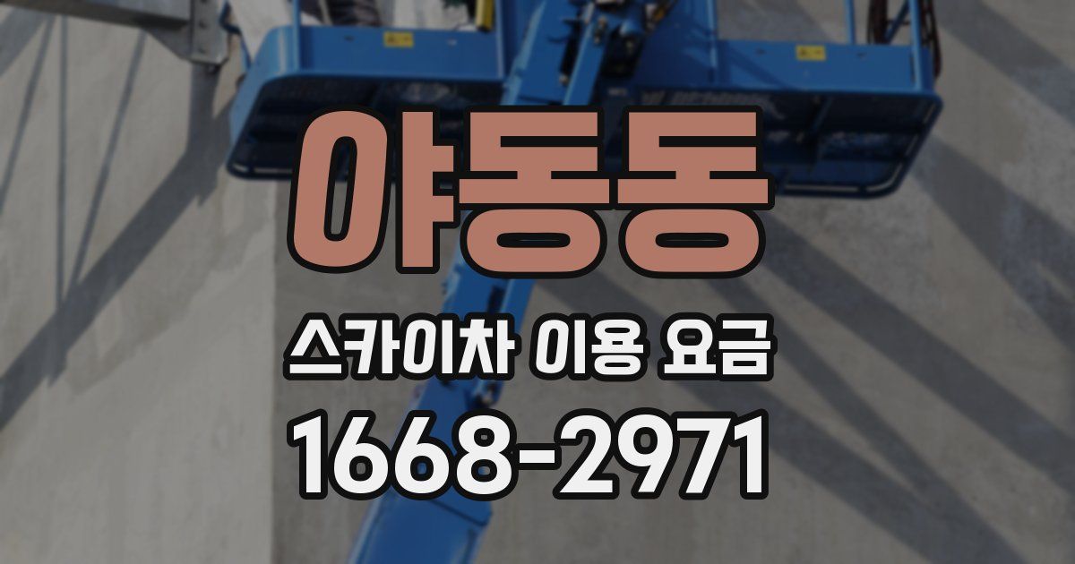 야동동 스카이차 이용 요금