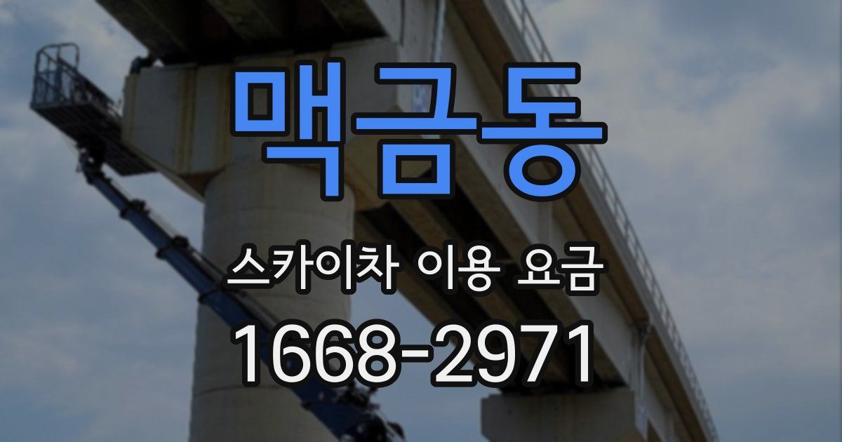 맥금동 스카이차 이용 요금