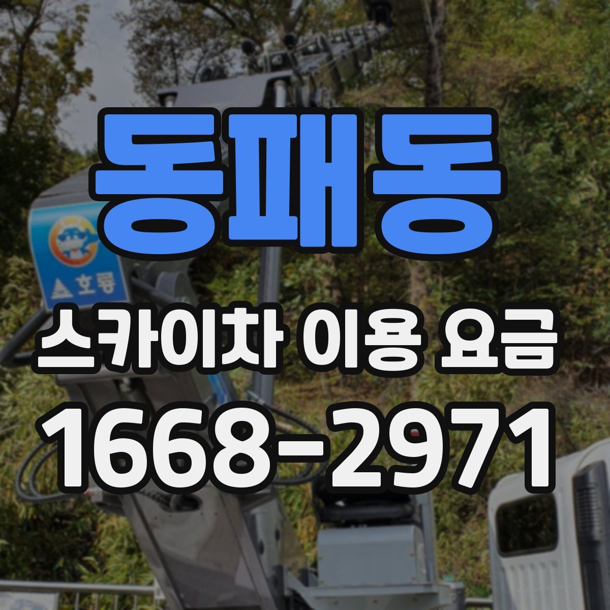 동패동 스카이차 이용 요금
