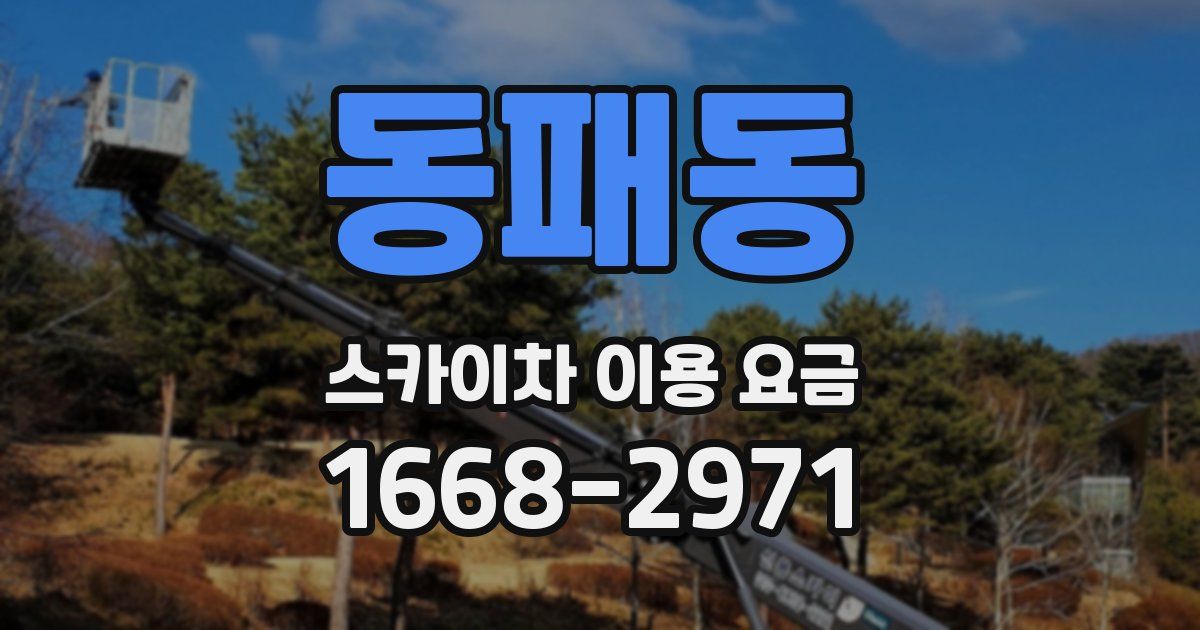 동패동 스카이차 이용 요금