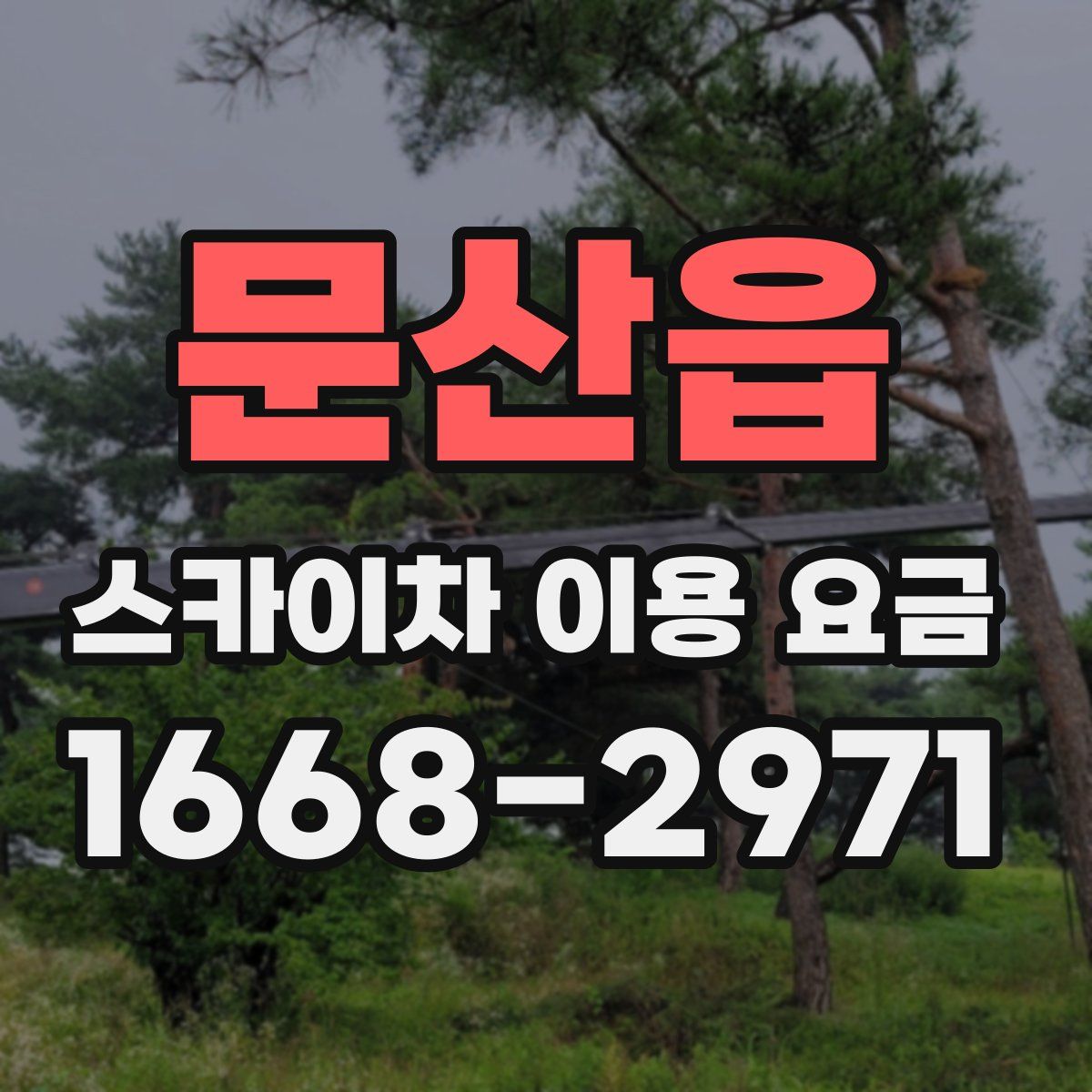 문산읍 스카이차 이용 요금