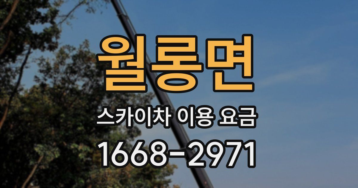 월롱면 스카이차 이용 요금