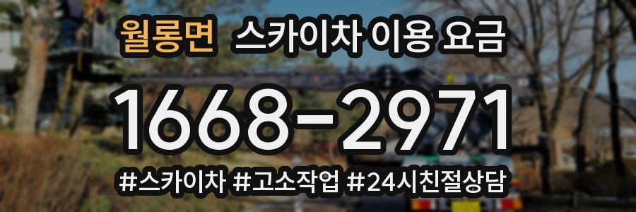 월롱면 스카이차 이용 요금