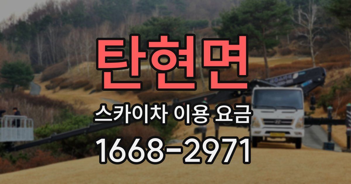 탄현면 스카이차 이용 요금