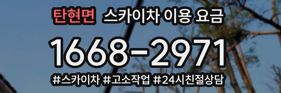 탄현면 스카이차 이용 요금