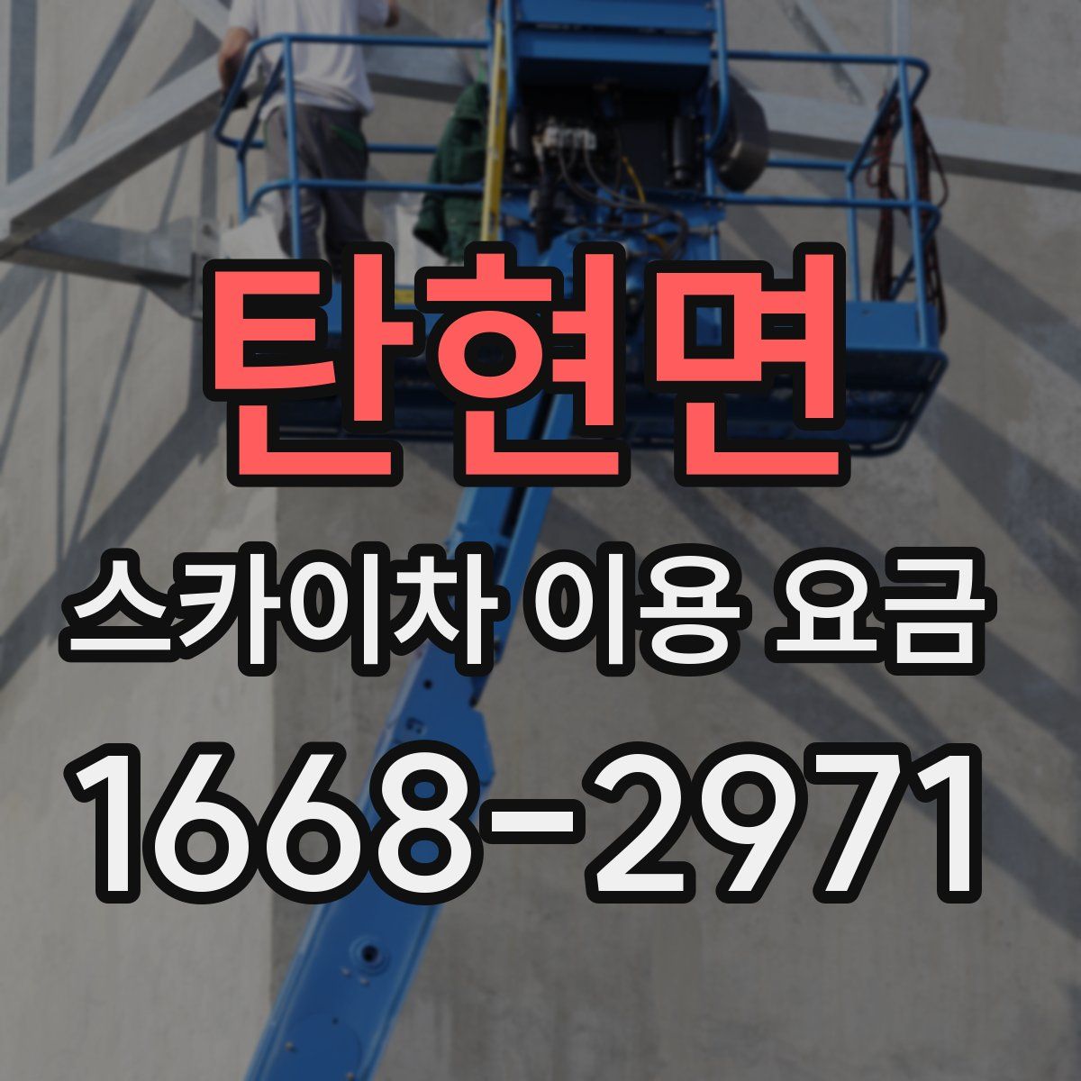탄현면 스카이차 이용 요금
