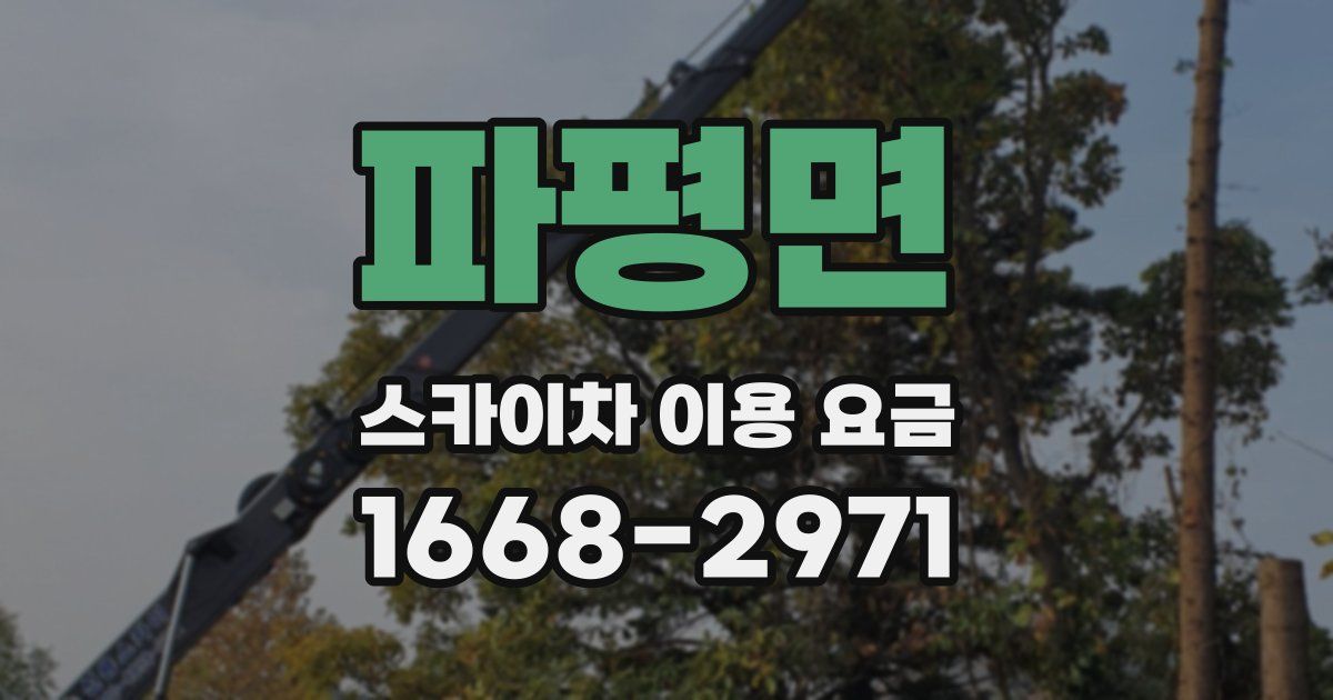 파평면 스카이차 이용 요금