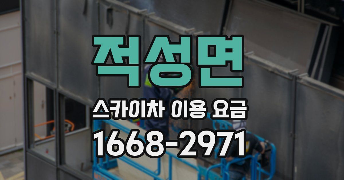 적성면 스카이차 이용 요금