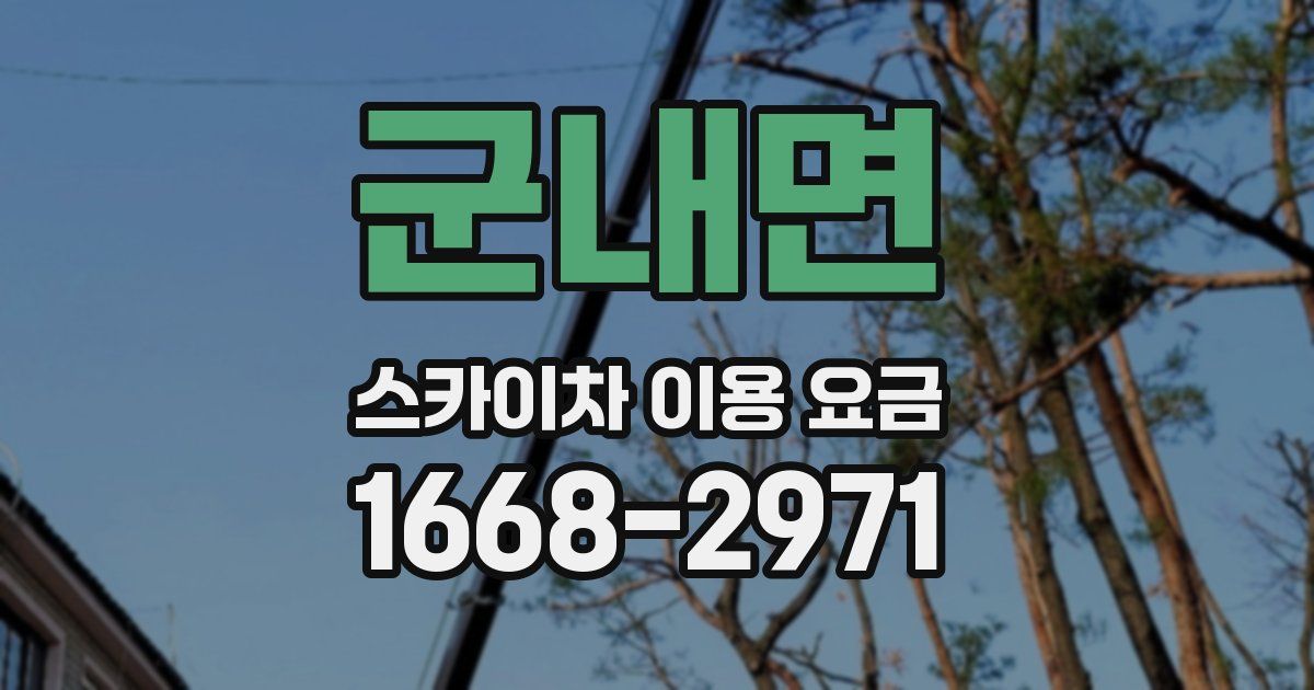 군내면 스카이차 이용 요금