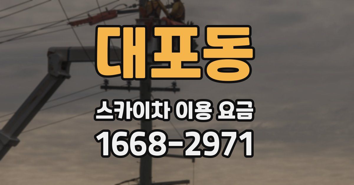 대포동 스카이차 이용 요금
