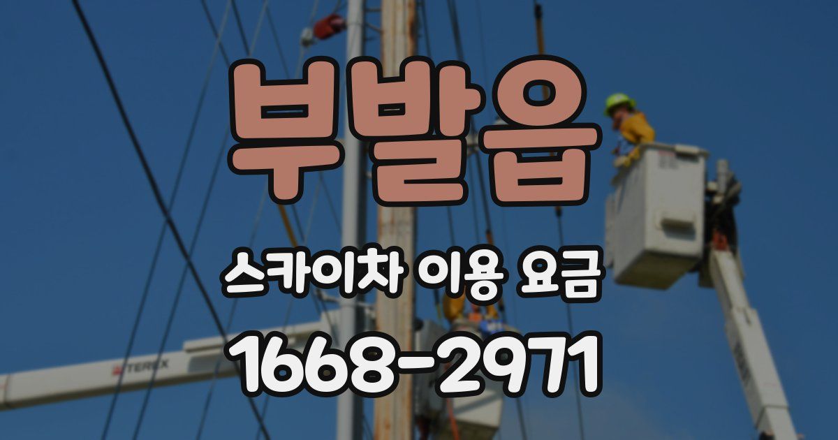 부발읍 스카이차 이용 요금