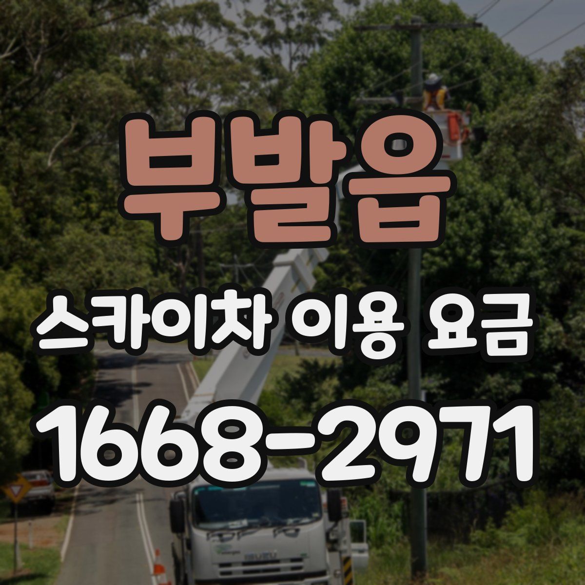 부발읍 스카이차 이용 요금