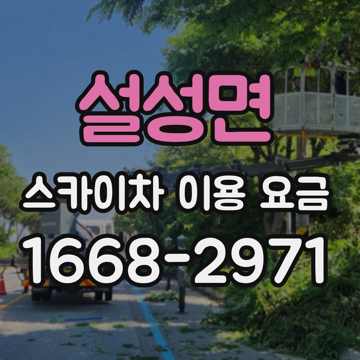 설성면 스카이차 이용 요금