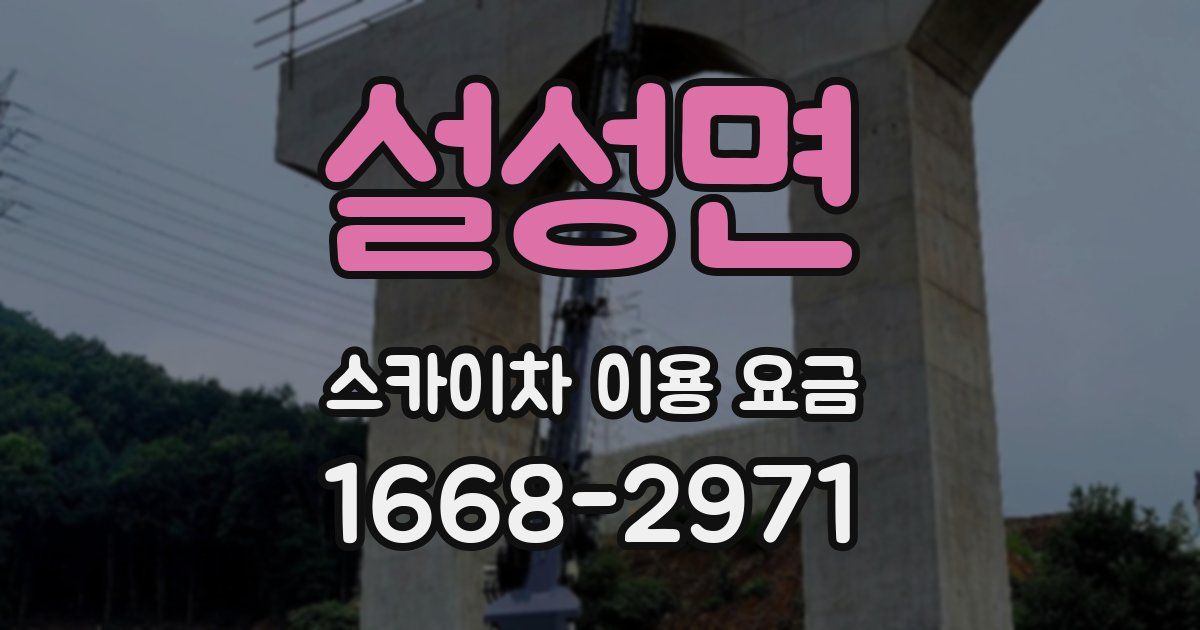 설성면 스카이차 이용 요금