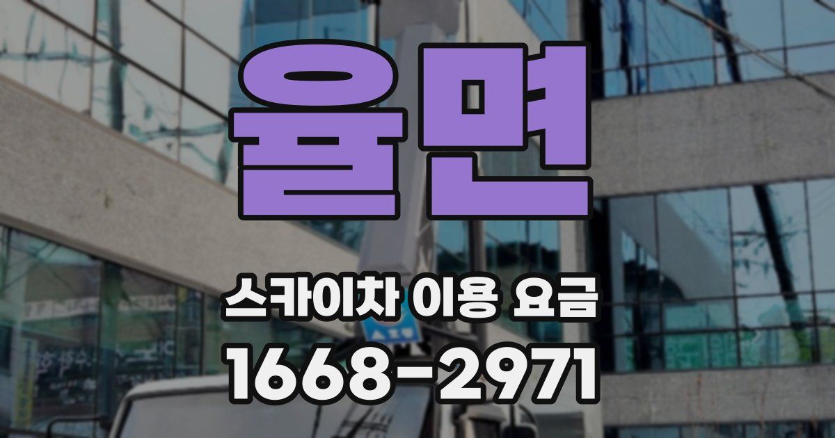 율면 스카이차 이용 요금