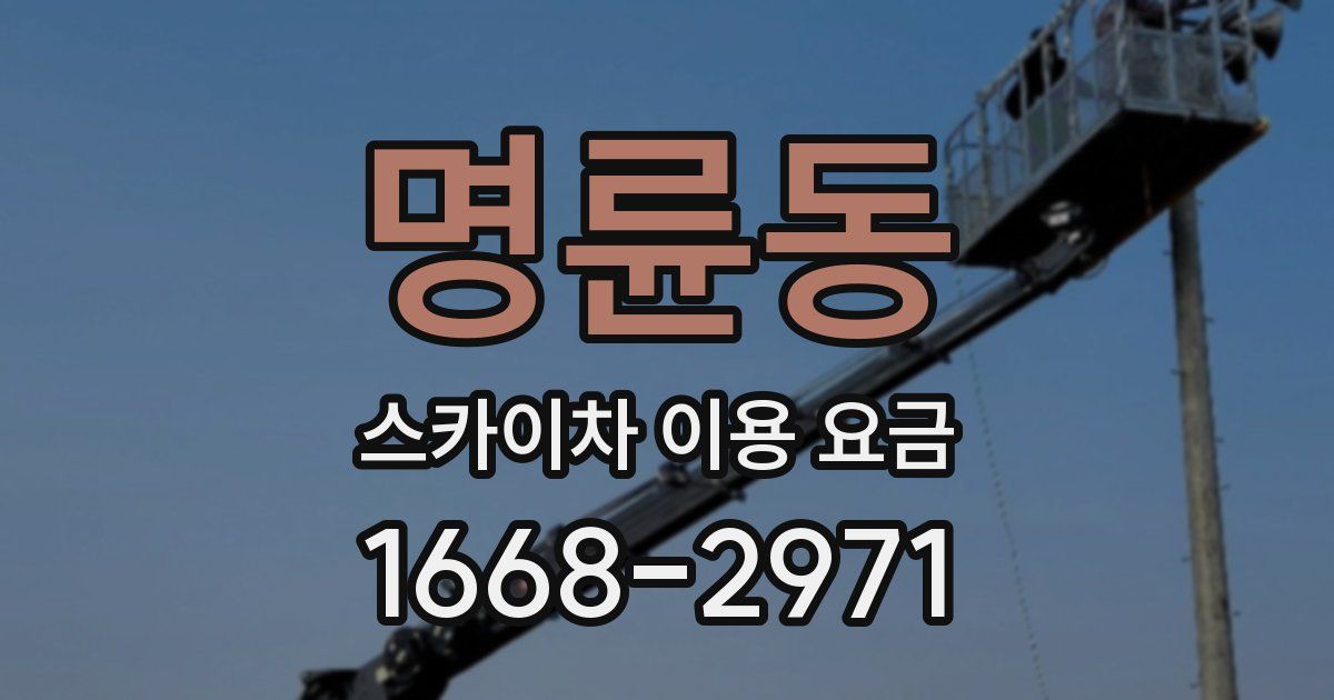 명륜동 스카이차 이용 요금