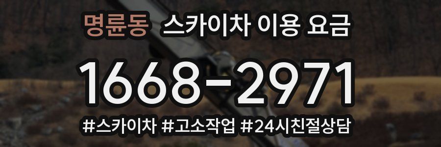 명륜동 스카이차 이용 요금