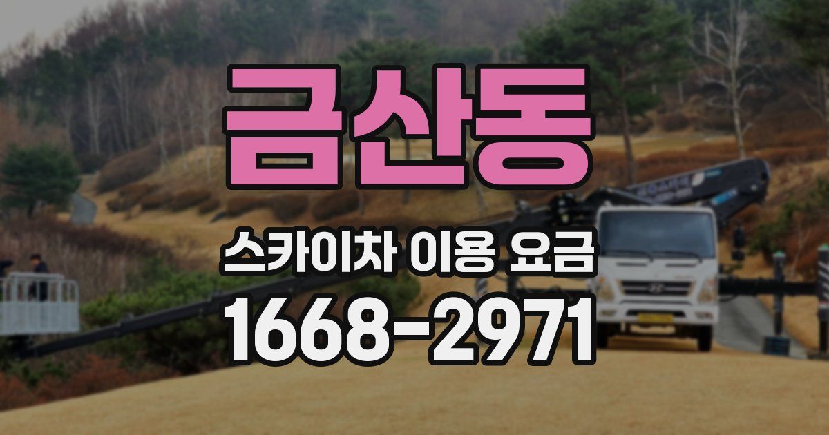 금산동 스카이차 이용 요금