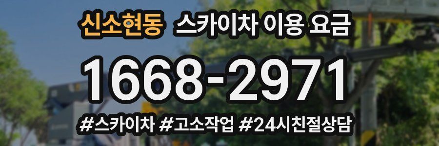 신소현동 스카이차 이용 요금