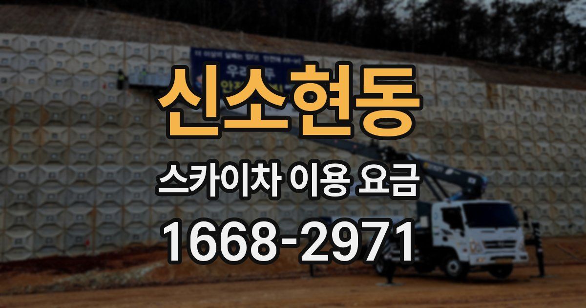 신소현동 스카이차 이용 요금
