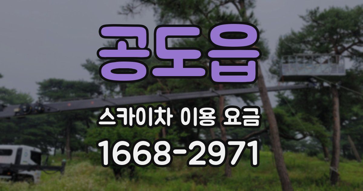 공도읍 스카이차 이용 요금