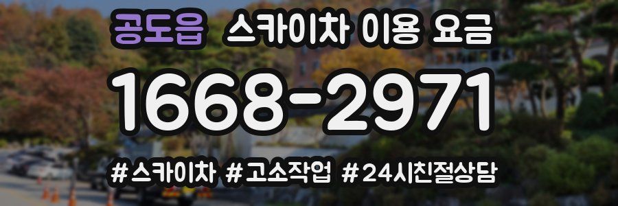 공도읍 스카이차 이용 요금