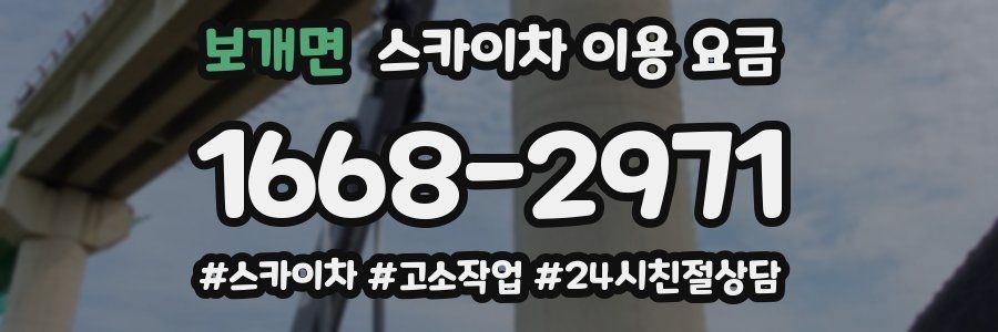 보개면 스카이차 이용 요금