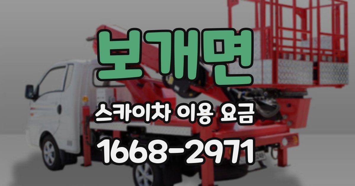 보개면 스카이차 이용 요금