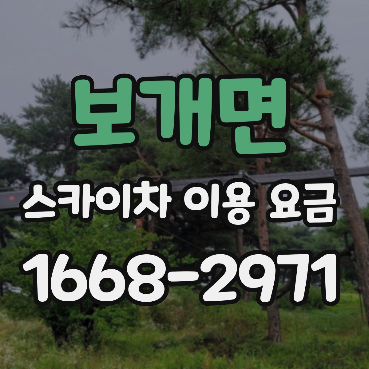 보개면 스카이차 이용 요금