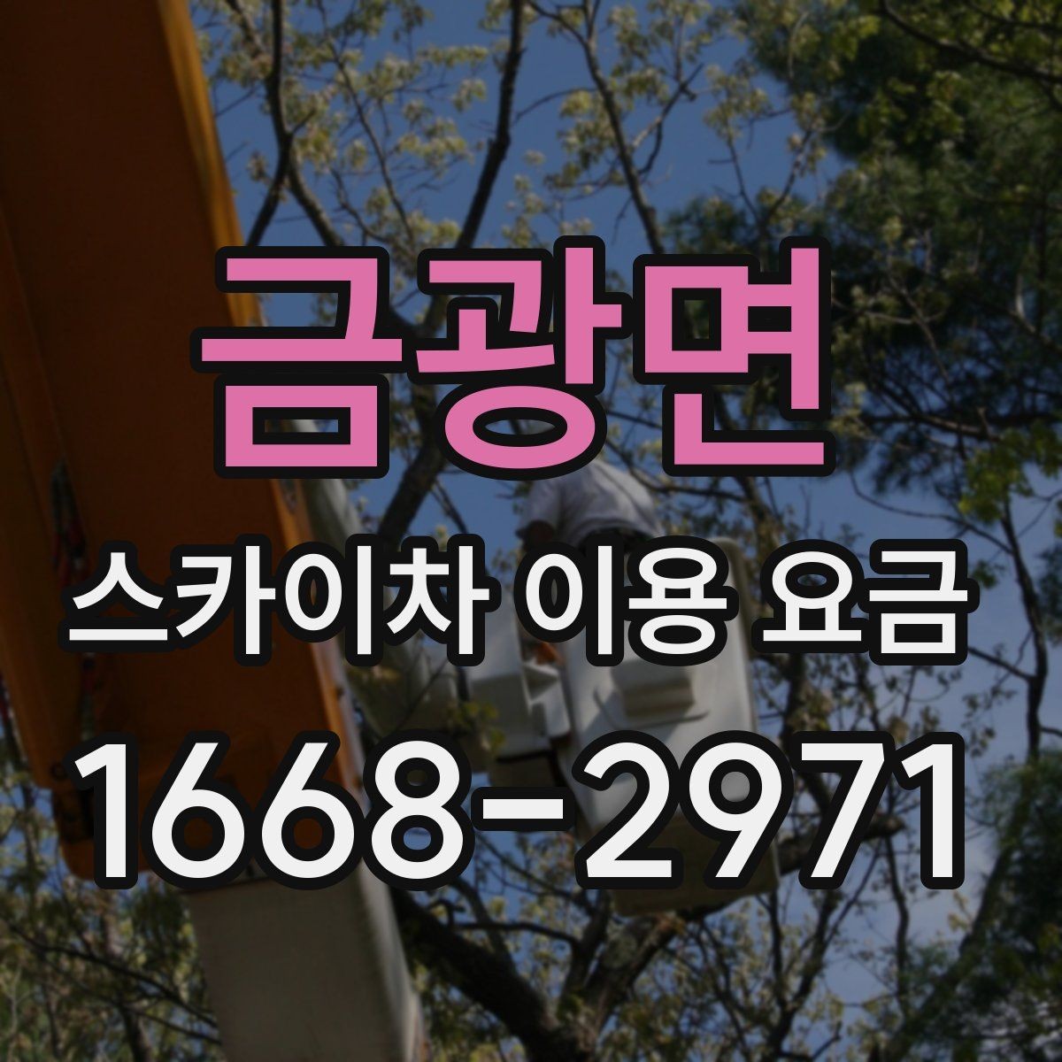 금광면 스카이차 이용 요금 비교 전에 체크할 사항