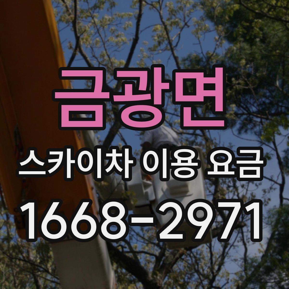 금광면 스카이차 이용 요금