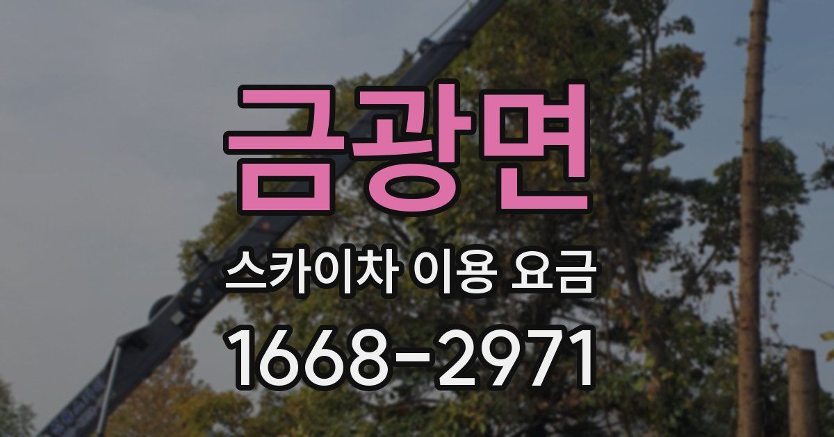 금광면 스카이차 이용 요금