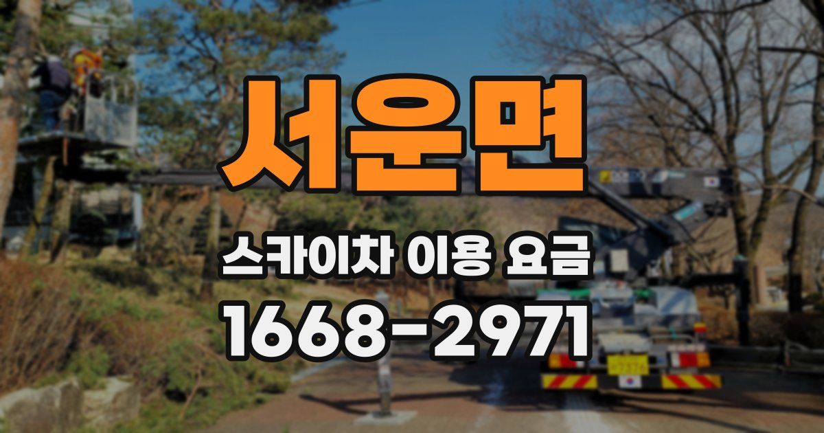 서운면 스카이차 이용 요금