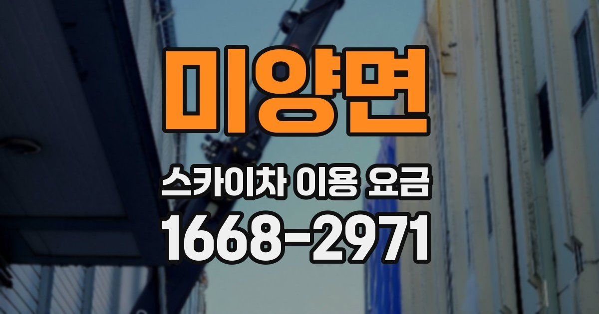 미양면 스카이차 이용 요금